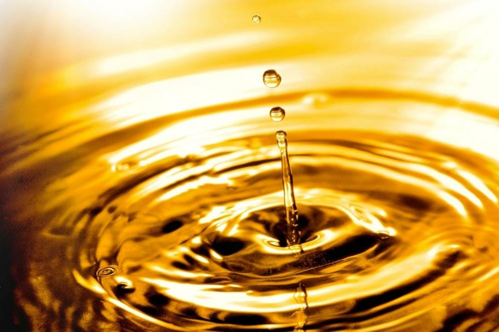 Does Gas Evaporate? How Fast? (How To Prevent)