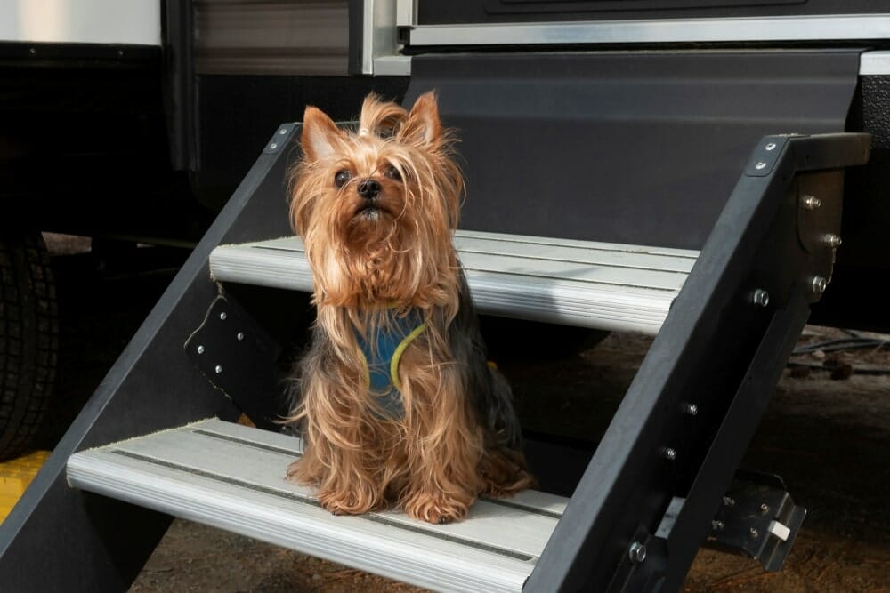 RV Electric Steps Not Working? Troubleshooting Tips